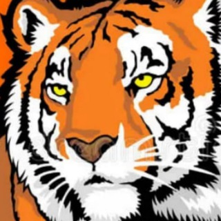 Владивосток реклама купить VDK_TIGER Приморье Уссурийск