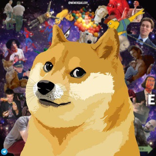 Memers Gallery