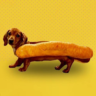 HOTDOGE Official🌭🐕