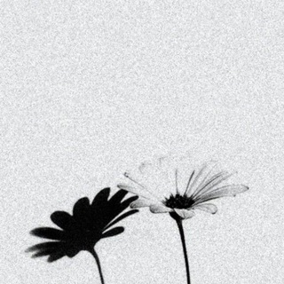 تواصل