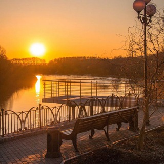 Анонка Кунгура