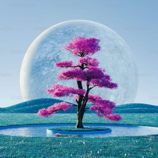 D R E A M S C A P E