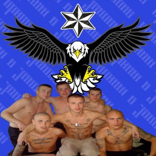 Предложка в законе