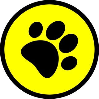 Админ PABLO NEWS 🐾