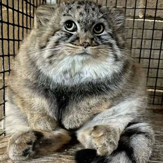 Geeker!++ >^+^<