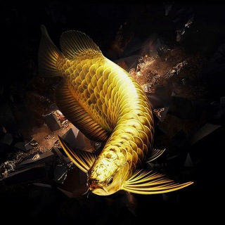 SL FISH KEEPERS