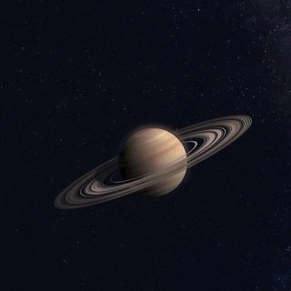 My Planet | whatever.