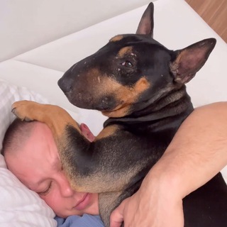 27 днів без цукру