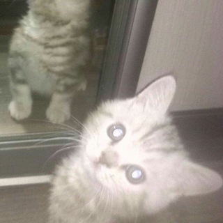 прайс 💌