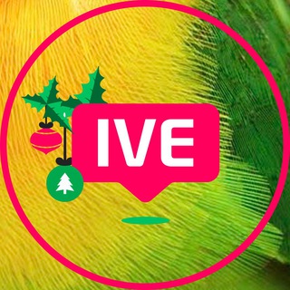 IVEstore - единый контактный центр