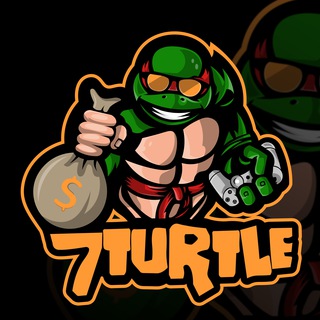 7Turtle - Brazil