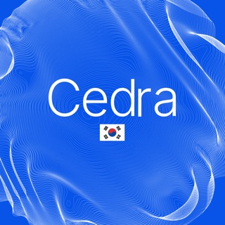 Cedra Korea 공지방