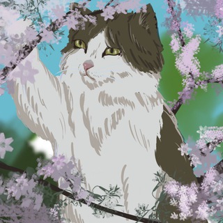 Пінчана 🐈🌸