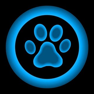 TON Independent Chat