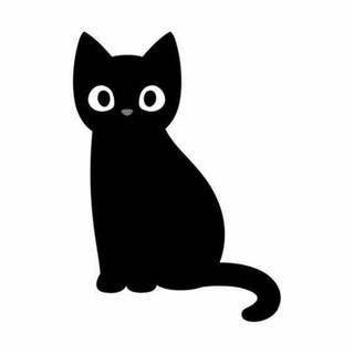 【猫七七】机场 | 喵速云