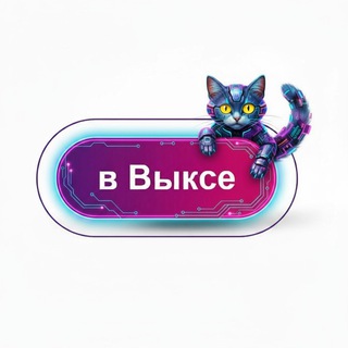 Команда вВыксе.ру