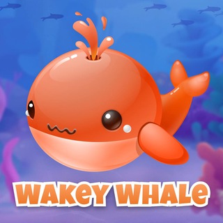 Wakey Whale Chat