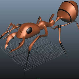 ANT TOKEN OFFICIAL
