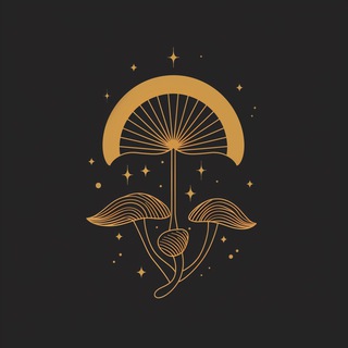Чат • MycoSpirit