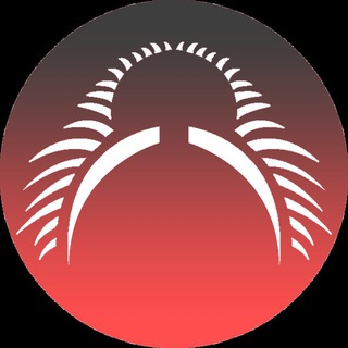 ابزار جراحی دات کام | abzarjarahi.com