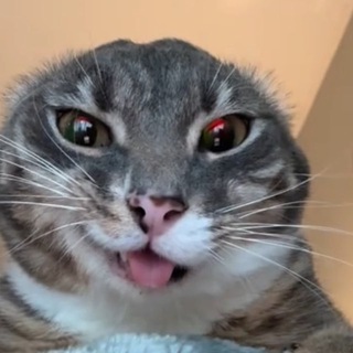 o a / solsave.me