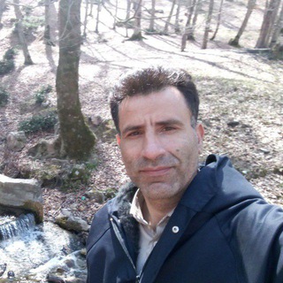 Hossein Tayebis