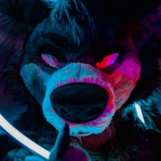 Cody the Werewolf