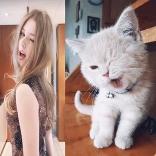 rinqwwo