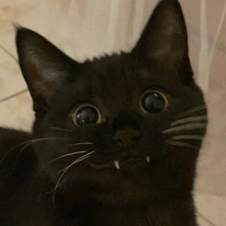 貧困而死