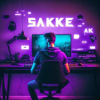 0xSakkE