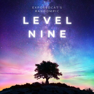 Level Nine