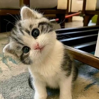 ⁧ Sothᴰᵉᵛ
