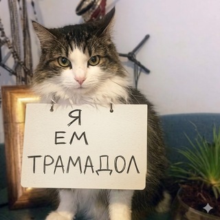 Москва