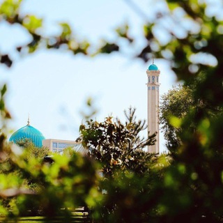 Zangiota jome masjidi