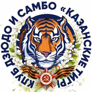 Клуб дзюдо и самбо «Казанские тигры»