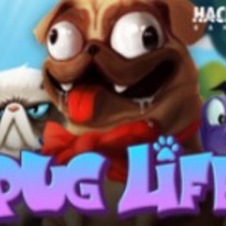 Pug Life
