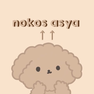 nokos here