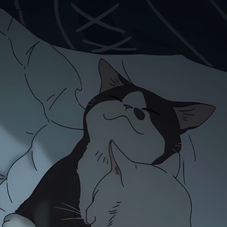 Коля
