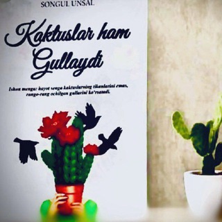 Кaktuslar xam gullaydi