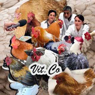 Vit.Co ™