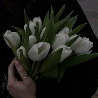 Shodiyeva20_01