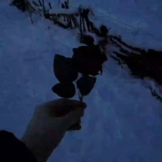 .vvl ⚜️ [06:27]