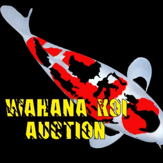 Wahana Koi Auction