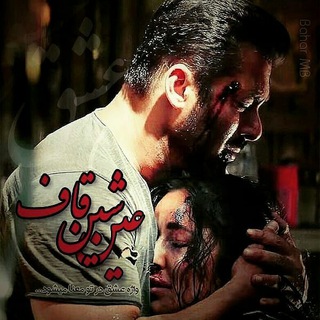 کانال پشتیبان بالیوود نیوز | bollywood news