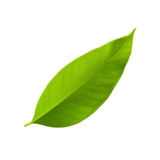 Ли́фи