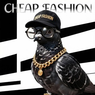 ModernFashion🤙