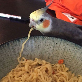 ᴍᴀᴋꜱɪᴍ