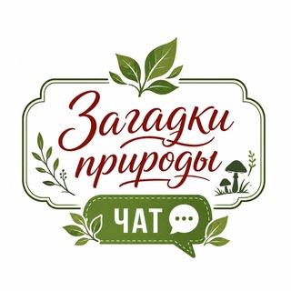 ЗАГАДКИ ПРИРОДЫ / 📩 ЧАТ/ ЕЖОВИК | КОРДИЦЕПС | ЛИСИЧКА | ЧАГА БЕРЕЗОВАЯ