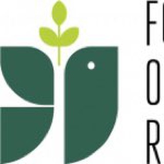 Фонд відновлення Ірпеня