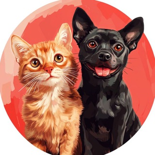 Кошечки & Собачки🐈🐶
